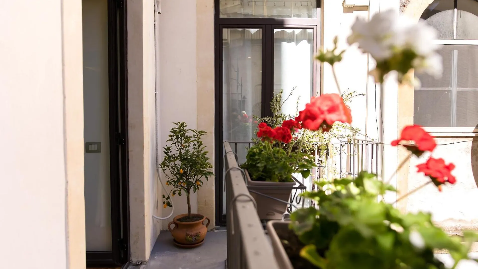 Zagara Luxury Home Катания